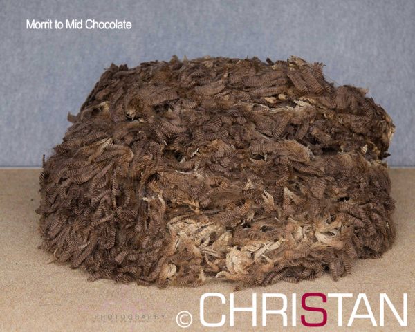 Christan-Farm-Corriedale-12-Morrit--Mid-Chocolate-110mm