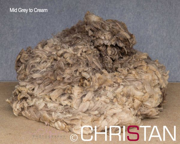 Christan-Farm-Corriedale-14--Mid-grey--to-cream-approx-110mm-long-(2)